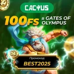 Как не слить весь баланс: 3 экспертных правила для новичков